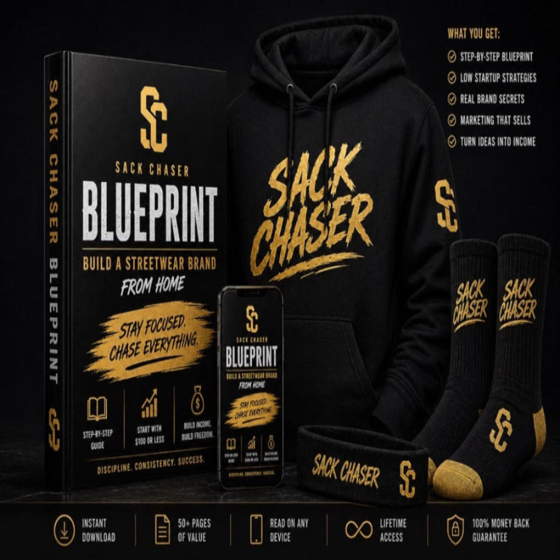 Sack Chaser Blueprint